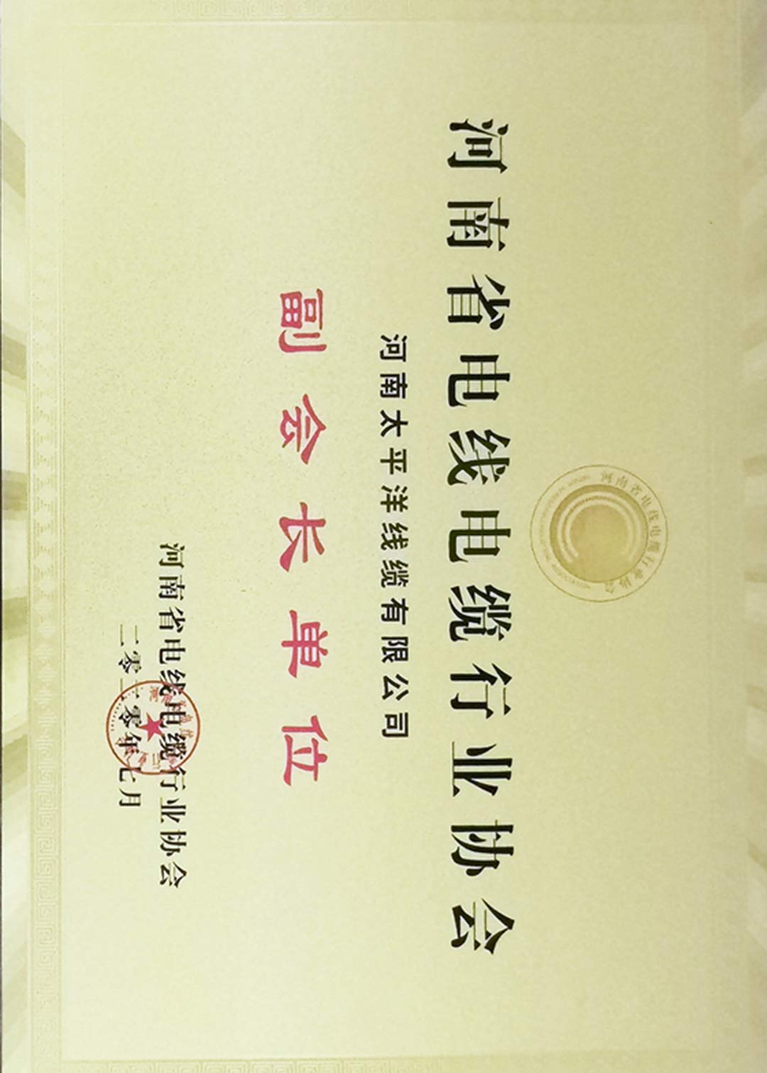 河南省电线电缆行业协会副会长单位
