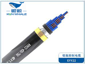 KVV22/KVVP22铠装控制电缆