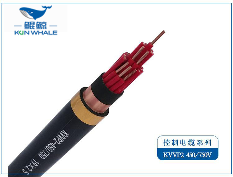 KVV22/KVVP22铠装控制电缆